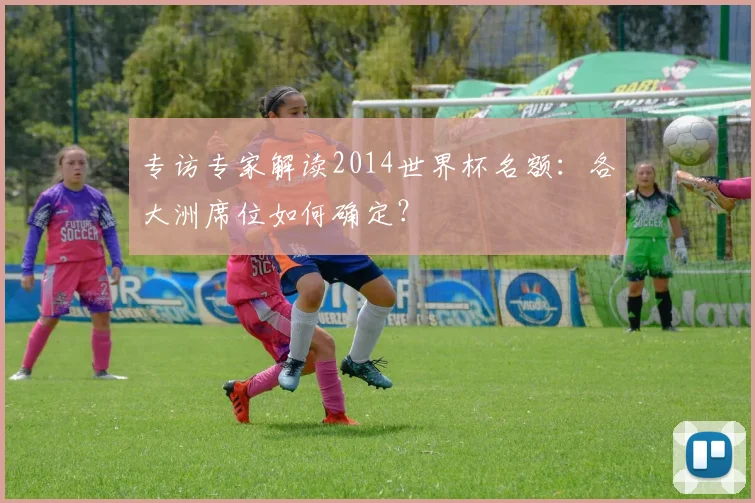 专访专家解读2014世界杯名额：各大洲席位如何确定？