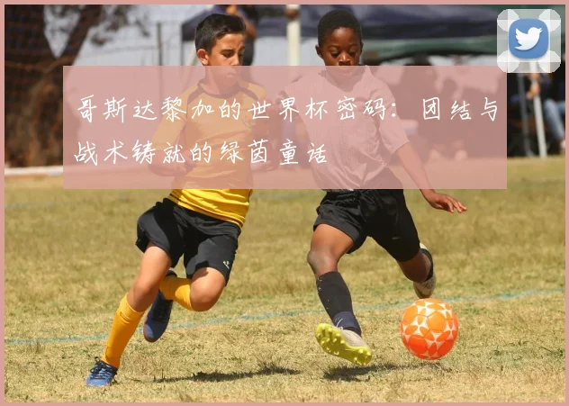 哥斯达黎加的世界杯密码:团结与战术铸就的绿茵童话