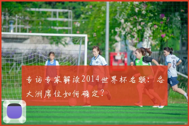 专访专家解读2014世界杯名额:各大洲席位如何确定?
