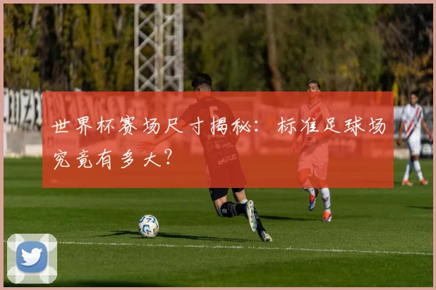 世界杯赛场尺寸揭秘:标准足球场究竟有多大?