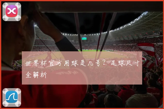 世界杯官方用球是几号?足球尺寸全解析