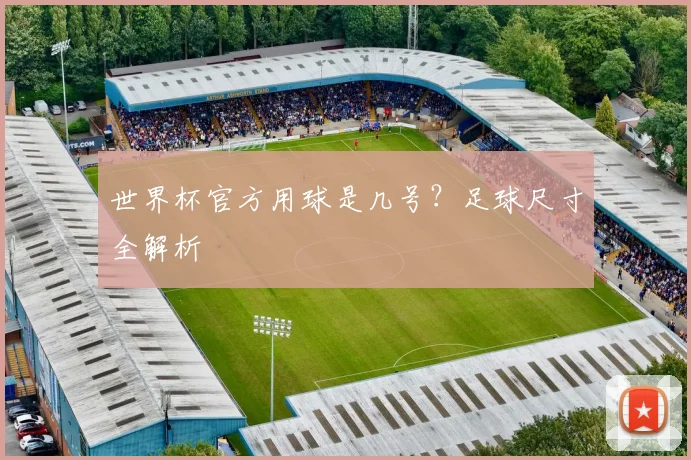 世界杯官方用球是几号?足球尺寸全解析