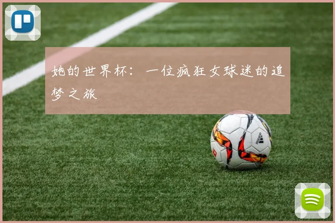 她的世界杯:一位疯狂女球迷的追梦之旅