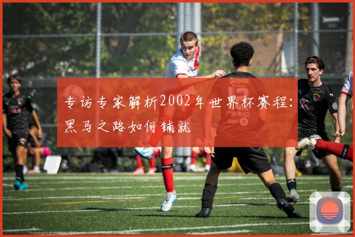 专访专家解析2002年世界杯赛程：黑马之路如何铺就